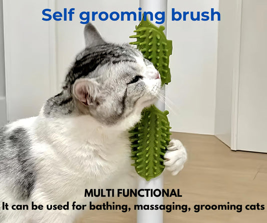 SELF GROOMING BRUSH